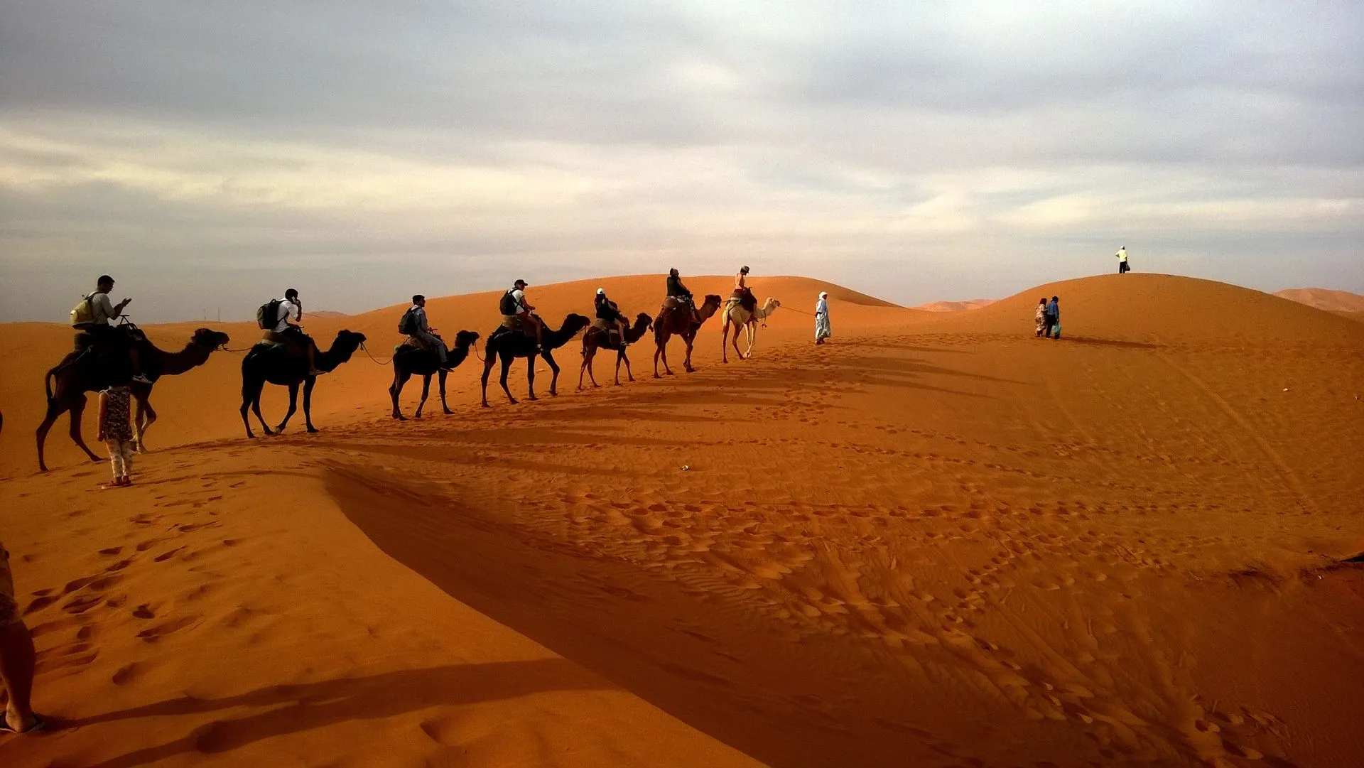 Camel caravan crossing the Merzouga dunes in Morocco