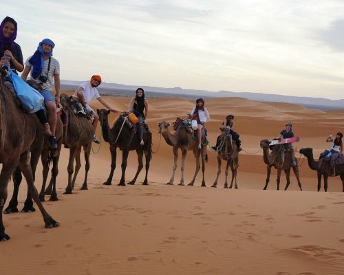 Tours to Sahara desert