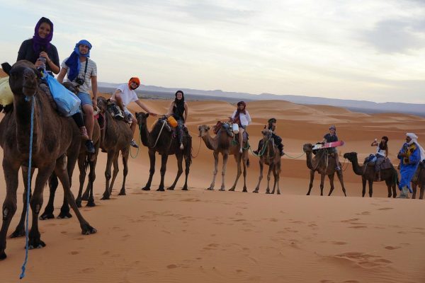 Tours to Sahara desert